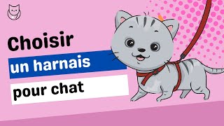 Le harnais pour chat Comment le choisir et comment bien lutiliser [upl. by Llyrpa]