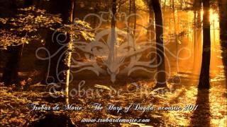 Trobar de Morte  The Harp of Dagda acoustic 2011 [upl. by Nirok609]