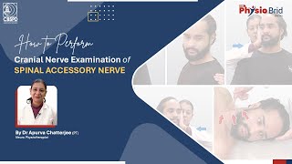 Cranial Nerve Examination  Spinal Accessory Nerve by Dr Apurva Chatterjee [upl. by Groos]