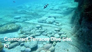 Underwater Cormorant Terraces Kangaroo Island North Coast [upl. by Greene]