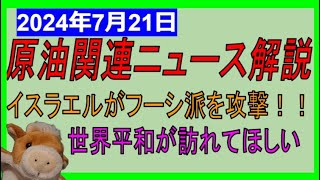 イスラエルがフーシ派攻撃！！やっぱり利確しておけばよかった！WTI原油先物価格見通し 2024年7月21日時点 [upl. by Yankee857]