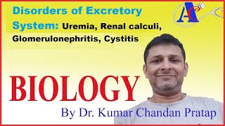 Disorders of Excretory System Uremia Renal calculi Glomerulonephritis Cystitis [upl. by Stutsman]