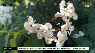 Rendezvous aux jardins  le jardin botanique de SaintLeu propose une balade didactique [upl. by Bathsheb250]