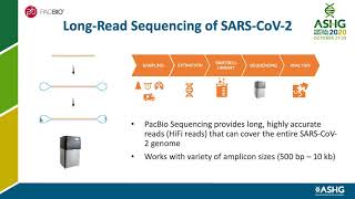 LongRead Sequencing of the SARSCoV2 Genome and the Human Immune Repertoire [upl. by Aneloaup]