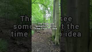 Dogman Lives here video proof in Haunted woods [upl. by Leiahtan]