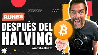 🚨 BITCOIN ¿RUNAS EN PROBLEMAS ✅ GUÍA COMPLETA 20242025 CÓMO y DÓNDE COMPRAR DOG ESPAÑOL [upl. by Rellia]