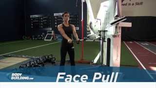 Face Pull  Shoulder Exercise  Bodybuildingcom [upl. by Westfahl368]