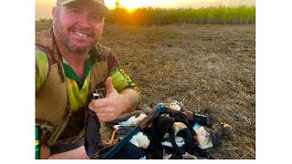 Northern Territory Hunting Magpie Goose [upl. by Whitaker794]