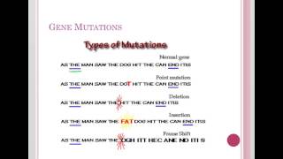 Frameshift Mutations [upl. by Malcom]