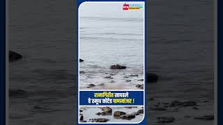 रत्नागिरीतील भंडारवाडा समुद्रात ‘स्मूथ कोटेड’ पाणमांजरांचे दर्शन I Ratnagiri I Konkan [upl. by Ahsitul]