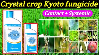 kyoto fungicideCrystalAzoxystrobin11Tebuconazole183SCkyoto fungicide price dose work result [upl. by Arenahs447]