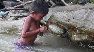 Survival Skills Finding Chiton and Cooking on Sand [upl. by Hairej812]