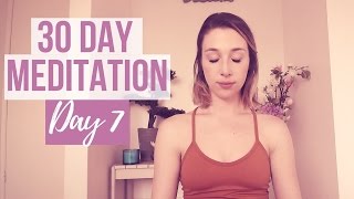 Attitude of Gratitude  Day 730 Day Meditation Challenge [upl. by Nowtna]