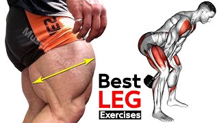 10 MIN LEG WORKOUT Exercises  Thighs Booty hamstringQuadriceps [upl. by Armillas292]