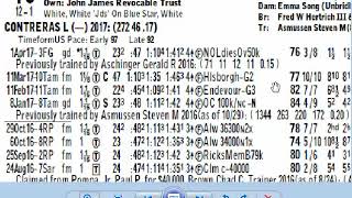 How to read a racing form amp how to handicap horse racing Woodbine Mile Picks Pennsylvania Derby [upl. by Akayas982]