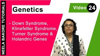 Genetics  Down Syndrome Klinefelter Syndrome Turner Syndrome amp Holandric genes  Neela Bakore [upl. by Irtimed]