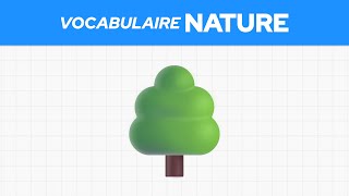 Le vocabulaire anglais de lenvironnement 🌳 [upl. by Eirrahs]