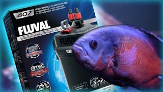 Fluval 407 Canister Filter Setup amp Review [upl. by Olsen]