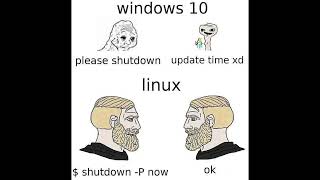 This Is Why I Use Linux  Windows Slander [upl. by Kenzi542]