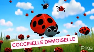 Coccinelle demoiselle chanson pour les tous petits [upl. by Iorgo235]