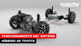 ¿Cómo funciona el Sistema Híbrido de Toyota [upl. by Dustan]