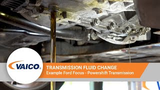 Transmission fluid change on Powershift of a Ford Focus EXPERT KITS V250796 [upl. by Giovanna200]