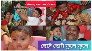 Chotto Chotto fule fule  Srijan lifestyle vlogs  Rice Ceremony Video  Bengali Annaprashan song [upl. by Odnolor]