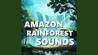 Tropical Rainforest Sounds [upl. by Arraeit]