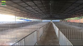 We can provide professional pig farm design planFREE [upl. by Noraed273]