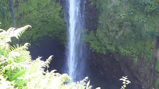 Honomu Hawaii  Akaka Falls State Park 2018 [upl. by Gefen699]