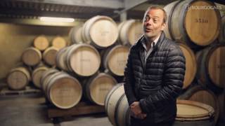 La légende des Grands Crus blancs de Montrachet [upl. by Boeke]