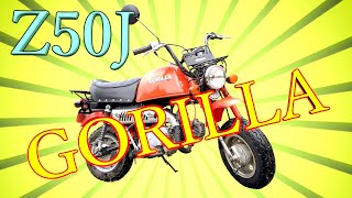 Honda GORILLA Z50J 紹介動画 6V50ccゴリラ！ [upl. by Quiteri552]