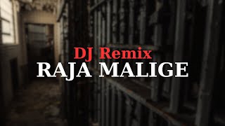 Raja Malige Dj Remix  රාජ මාළිගේ  Red  Amuthu Remix [upl. by Kliber280]