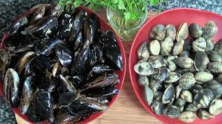 Conservar almejas y mejillones Vídeo consejo 1 Aquí cocinamos todos Cooking recipe [upl. by Ettennor]