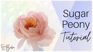 Sugar Peony Tutorial ⎸Realistic Gumpaste Peony for Cake Decorating [upl. by Aihsik342]