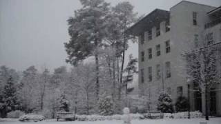 Atlanta Georgia snowstorm 12 February 2010 [upl. by Nodyarb38]