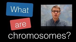 What are Chromosomes [upl. by Jedthus]