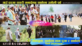 Sakela Ubhouli Festival  A Vibrant Celebration of Kirat Rai Culture  WOIRANG  BHOJPUR [upl. by Sower]