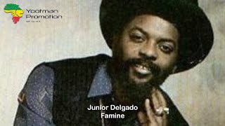 Junior Delgado  Famine amp Dub 1979 HD Quality [upl. by Nilyad]