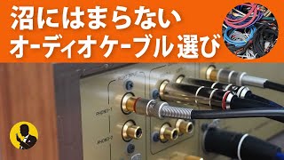 本気のオーディオ ビギナーが沼にはまらないケーブル選びを5分で解説 動画No137 [upl. by Teyut]