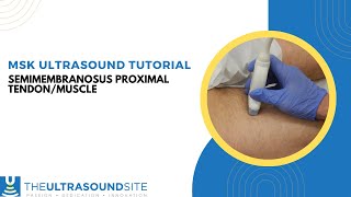 Ultrasound tutorial of the proximal Semimembranosus musculotendinous junctionaponeurosis [upl. by Burtie]