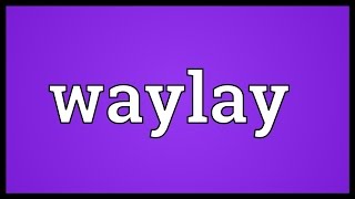 Waylay Meaning [upl. by Peters771]