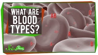 What are Blood Types [upl. by Charmian204]