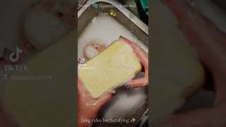 Soapy 🫧 Sponge Squeezing ASMR clean and rinse 🫧✨ [upl. by Redd836]