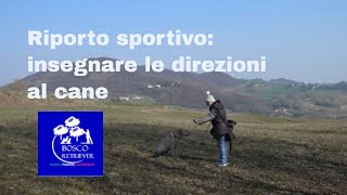 Riporto sportivo insegnare le direzioni al cane [upl. by Alicec856]