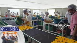 Desde Sinaloa conoce con Nico cómo se deshidrata el mango Cocineros Mexicanos [upl. by Broeder]