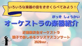 【楽器紹介】オーケストラで使われる楽器の紹介をします！【よしたく先生】 [upl. by Nebeur36]