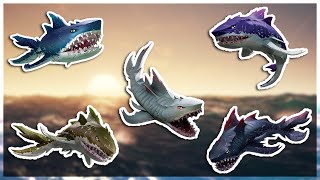 MEGALODON Sea of Thieves Guide [upl. by Enirehs]