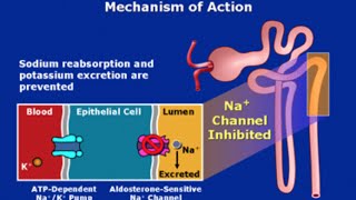 PotassiumSparing Diuretics [upl. by Oirad628]