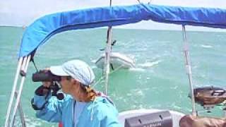 Macgregor 26M Bonnie Blue sailing to the Dry Tortugas Part 2 of 8 [upl. by Zwart]